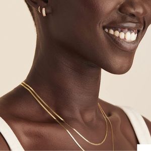 New Mejuri Serpentine Chain Necklace